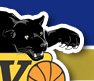 Logo USVO