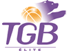 Tarbes Gespe Bigorre Logo